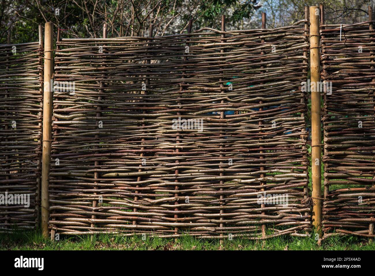 Tradizionali pannelli di recinzione tessuti a mano o hurdles realizzati con rami Hazel spesso con pali di castagno. Foto Stock
