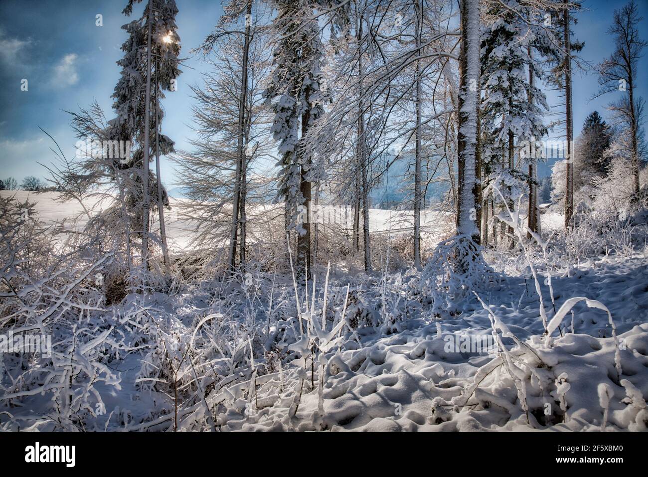 DE - BAVIERA: Scena invernale nell'Isartal vicino a Bad Toelz (HDR-Fotografia) Foto Stock