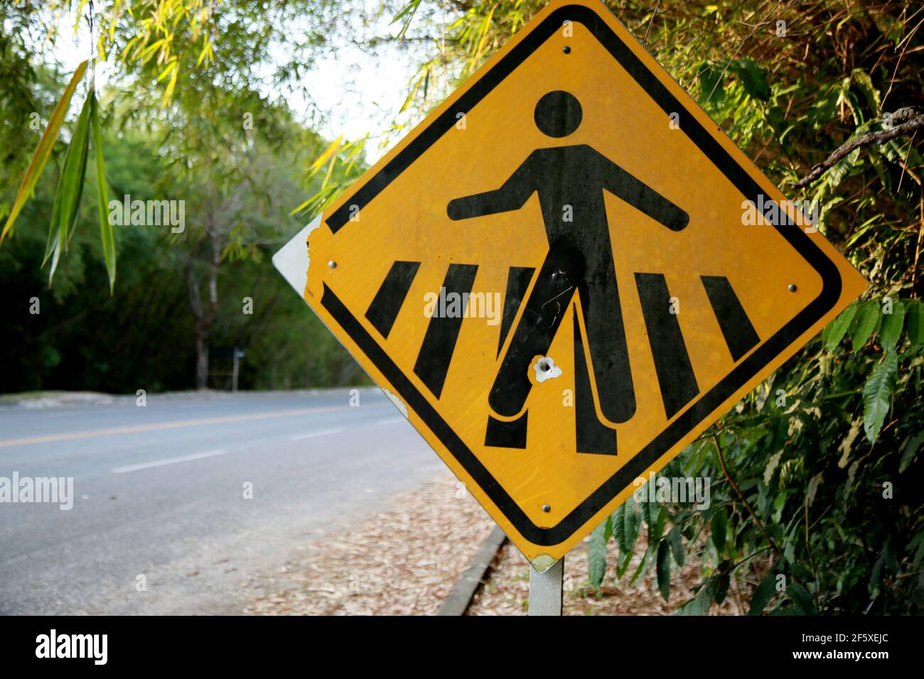 mata de sao joao, bahia / brasile - 16 ottobre 2020: I segnali stradali indicano una corsia pedonale che attraversa l'autostrada BA 099, nel comune di M. Foto Stock