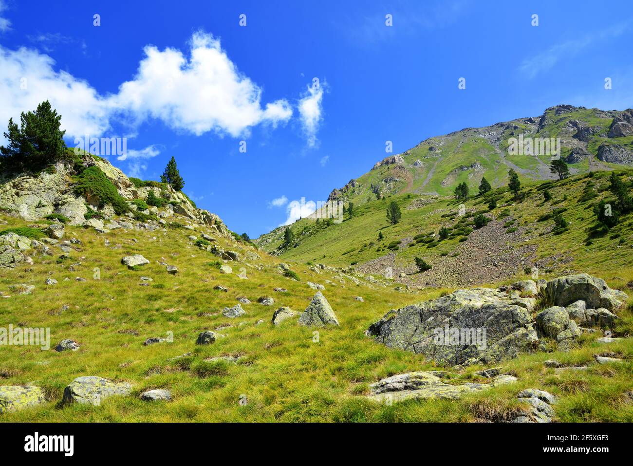 Splendido paesaggio montano nella riserva naturale nazionale di Neouvielle, Pirenei francesi. Foto Stock