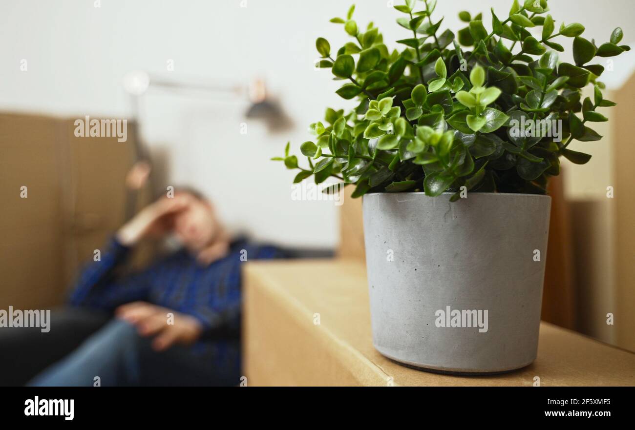 Chiavi sulla scatola di cartone dopo aver spostato con successo a nuovo piano. Foto Stock