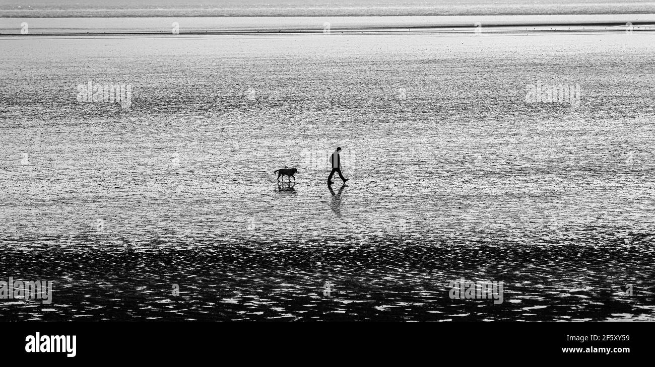 Uomo che cammina cane (in silhouette) passato il vecchio palo reti a Sandyhills, Solway estuario, Dumfries, SW Scozia Foto Stock