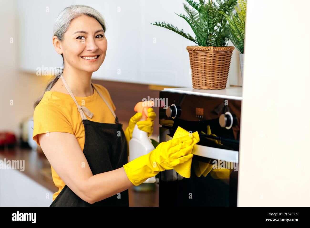 Casalinga asiatica con capelli grigi o donna di pulizia in grembiule e guanti, lavora in cucina, asciuga la superficie del forno con straccio, tiene il detergente in mano, guarda la macchina fotografica, sorride Foto Stock