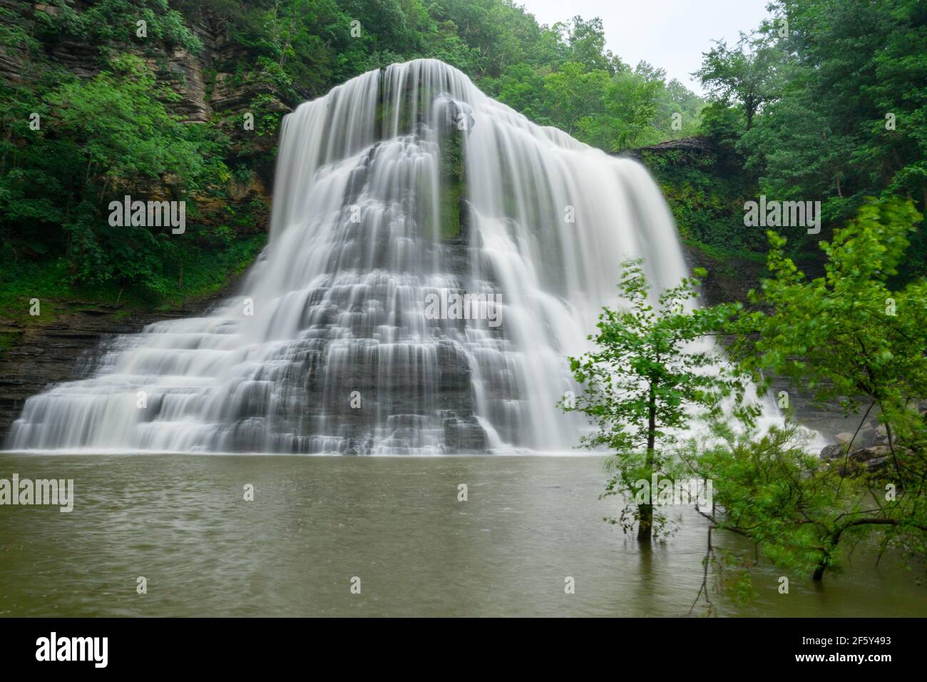 Cascate di Burgess al mattino di Foggy, Tennessee Foto Stock