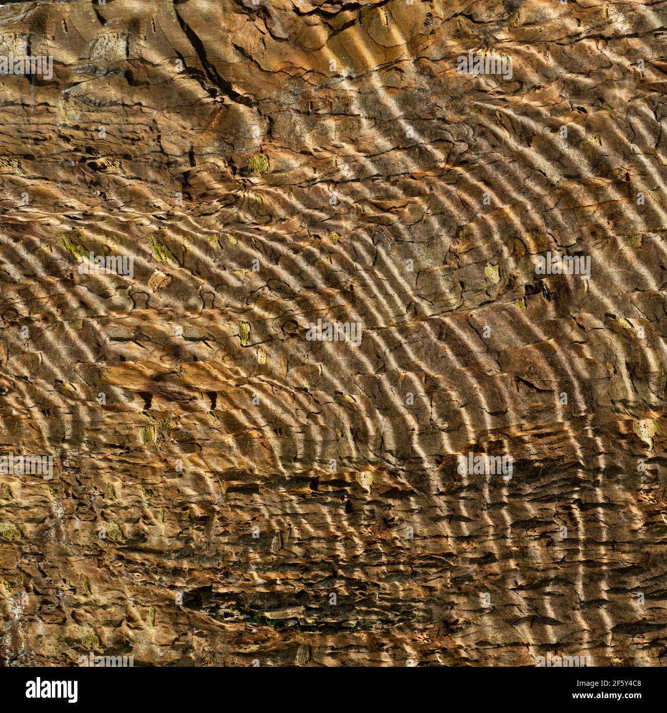 Luce che si riflette sull'acqua sul soffitto della Grotta Foto Stock