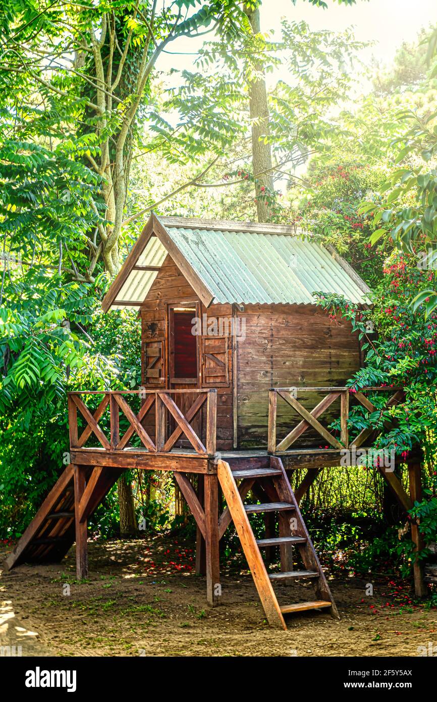 Treehouse per bambini in una mattinata soleggiata nel bosco Foto Stock