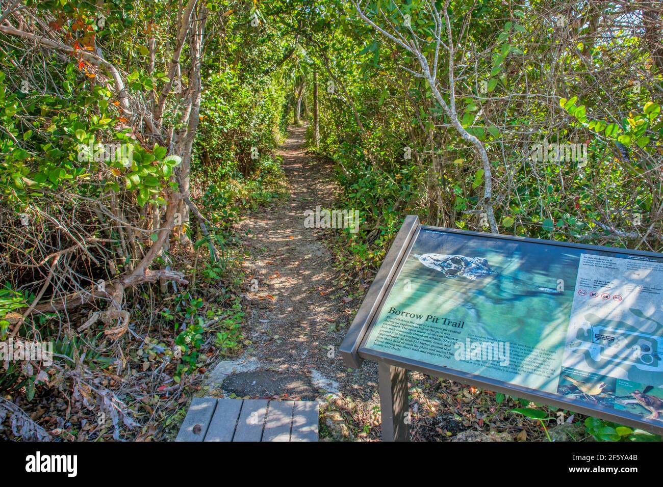 Barrow Pit Trail presso la torre di osservazione a Shark Valley nel Parco Nazionale delle Everglades in Florida. Foto Stock