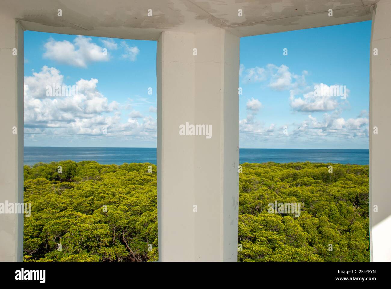 Molto invitante shot di lussureggiante foresta di mangrovie intorno ad una laguna circondato da acqua di mare blu Foto Stock Molto invitante shot di lussureggiante foresta di mangrovie intorno ad una laguna circondato da acqua di mare blu Foto Stock
