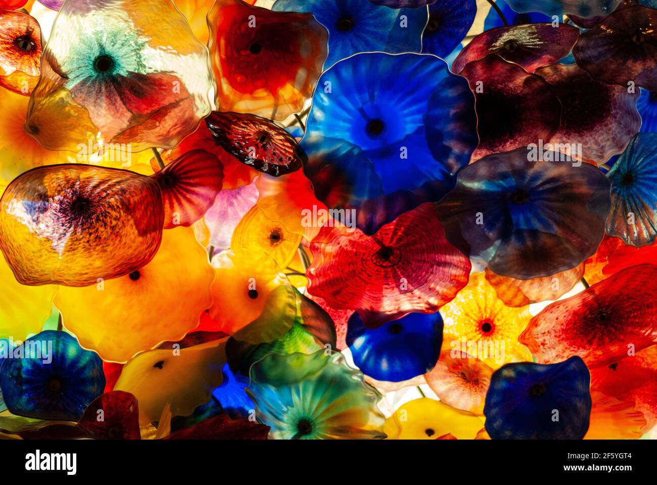 Lampadario di fiori di vetro che esplode nei colori rosso, blu, verde, giallo e arancione. Foto Stock