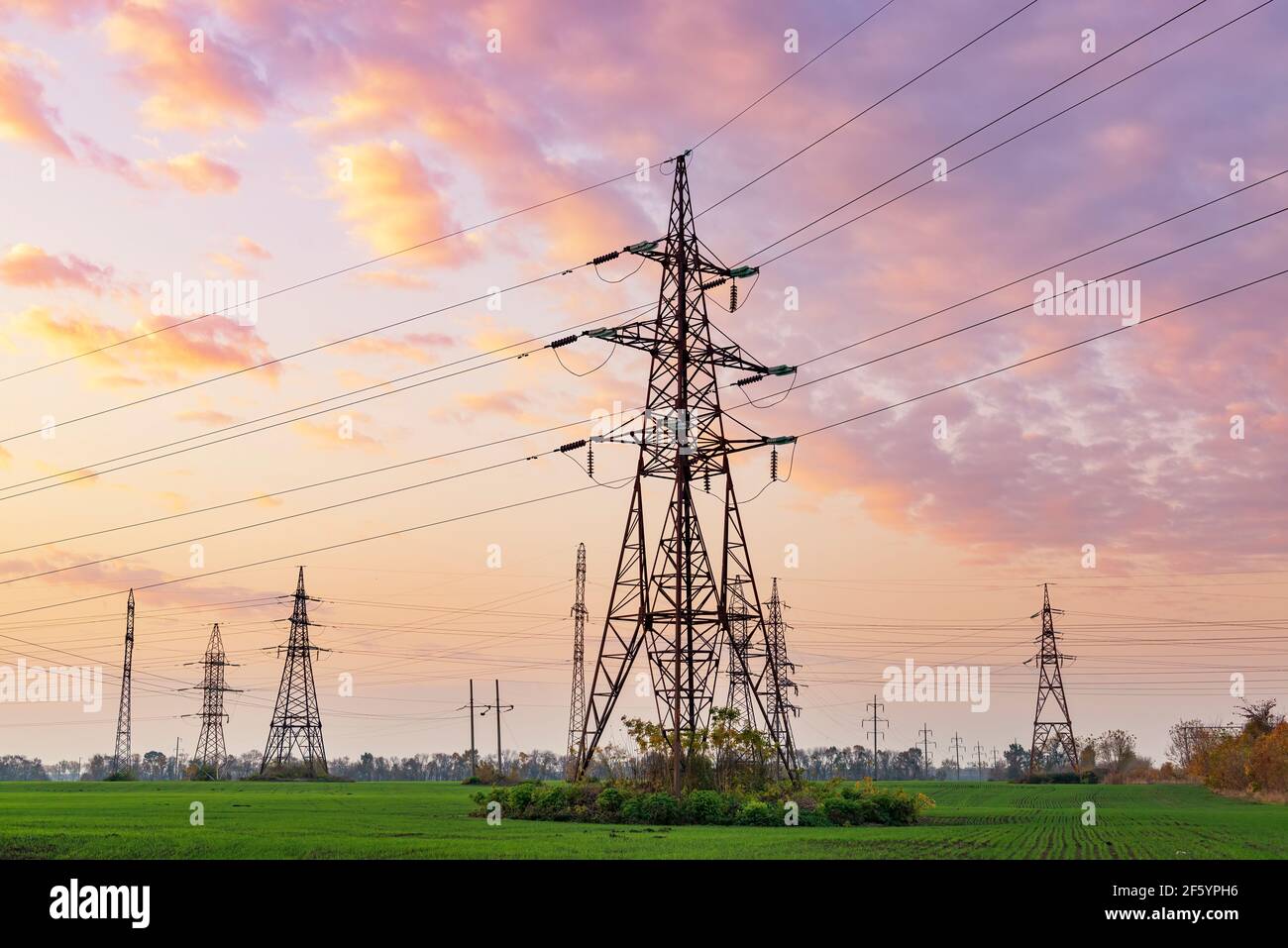 Linee elettriche contro il cielo del tramonto Foto Stock