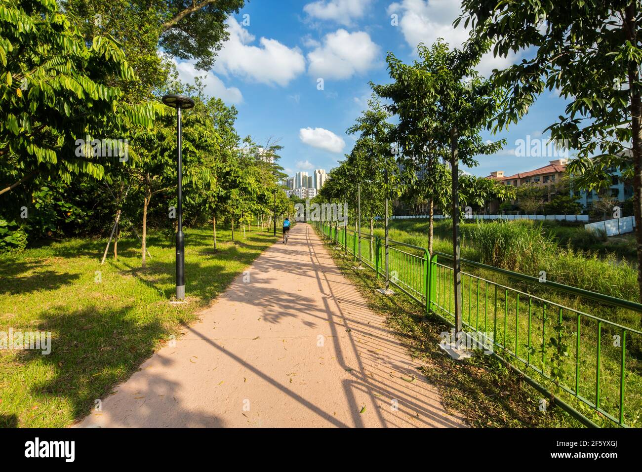 Ampio sentiero verde artificiale per attività ricreative pubbliche. Singapore. Foto Stock