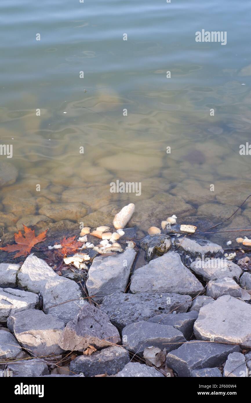 Il lago e i pani delle pietre grigie sono arrivati a riva Foto Stock