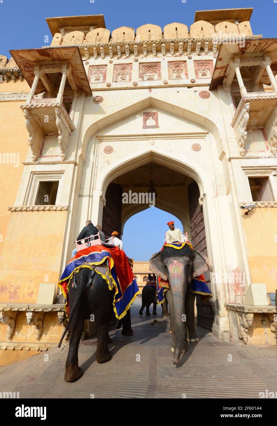 Il bello forte Amber vicino Jaipur, India. Foto Stock