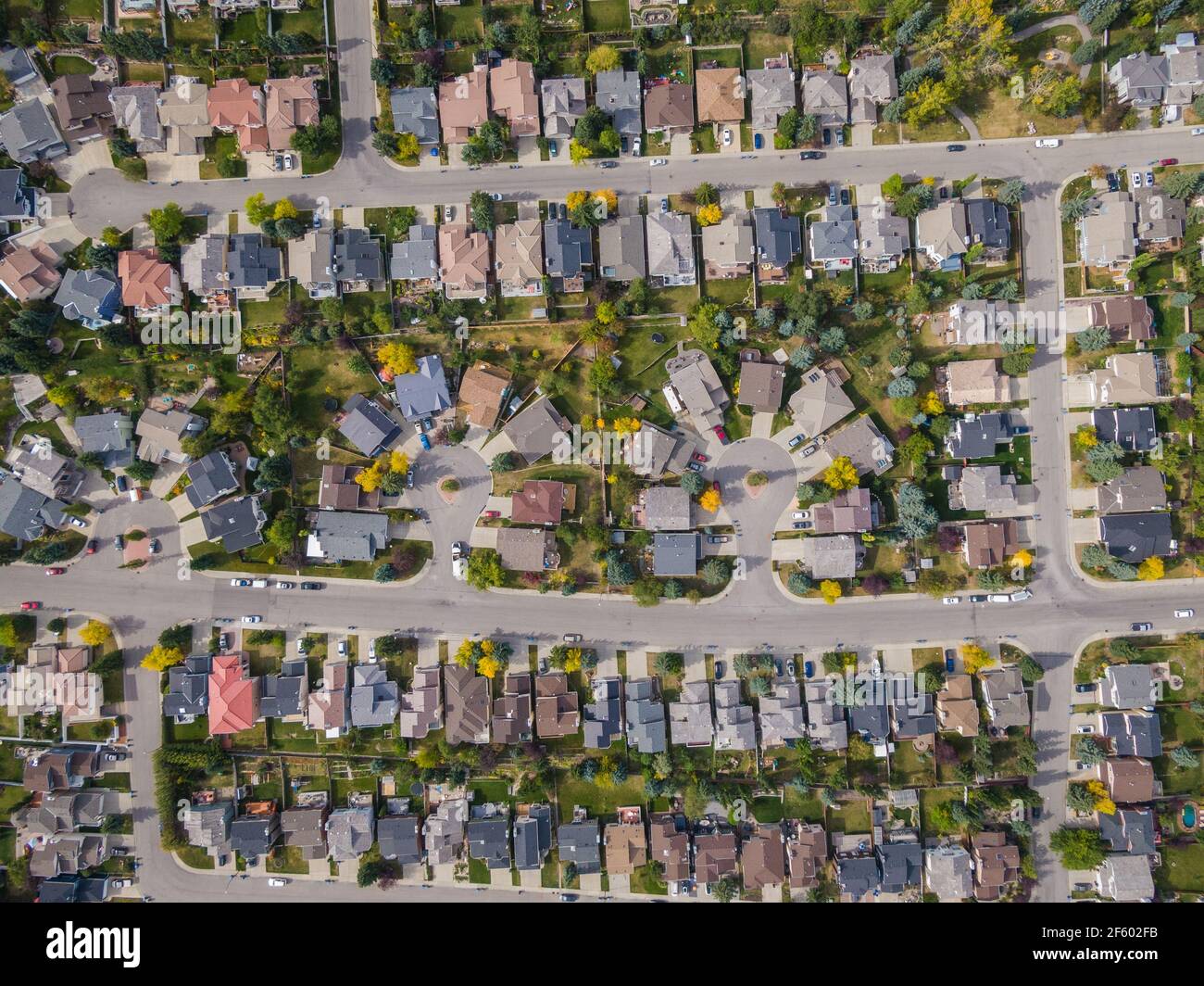 Vista aerea dall'alto verso il basso di case e strade nello splendido quartiere residenziale durante la stagione autunnale a Calgary, Alberta, Canada. Foto Stock