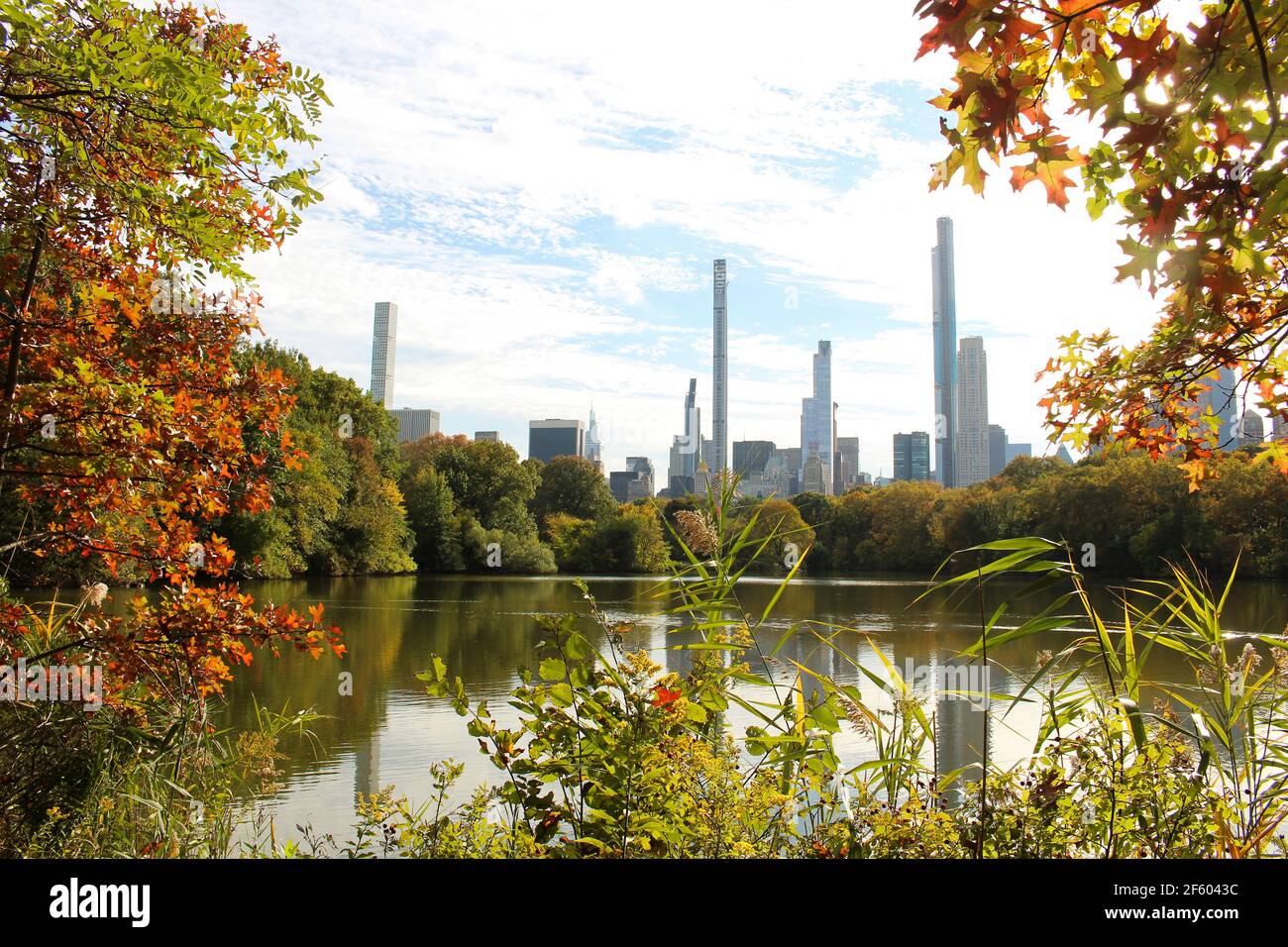 Central Park in the Pandemic (New York, ottobre 2020) Foto Stock