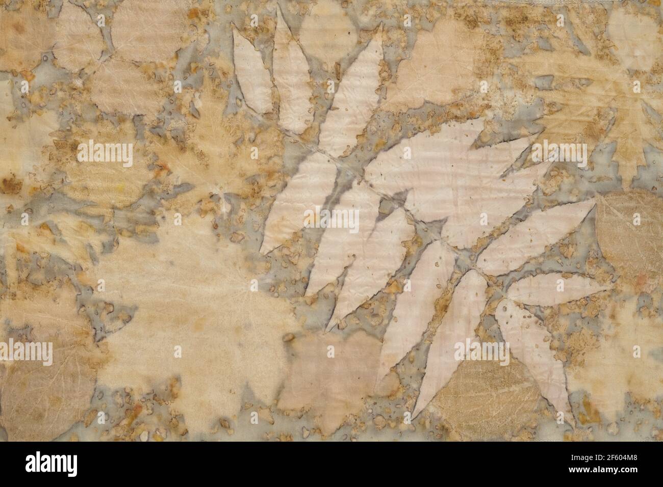 Frammento di tessuto tinto a mano con tecnica eco-stampa Foto Stock