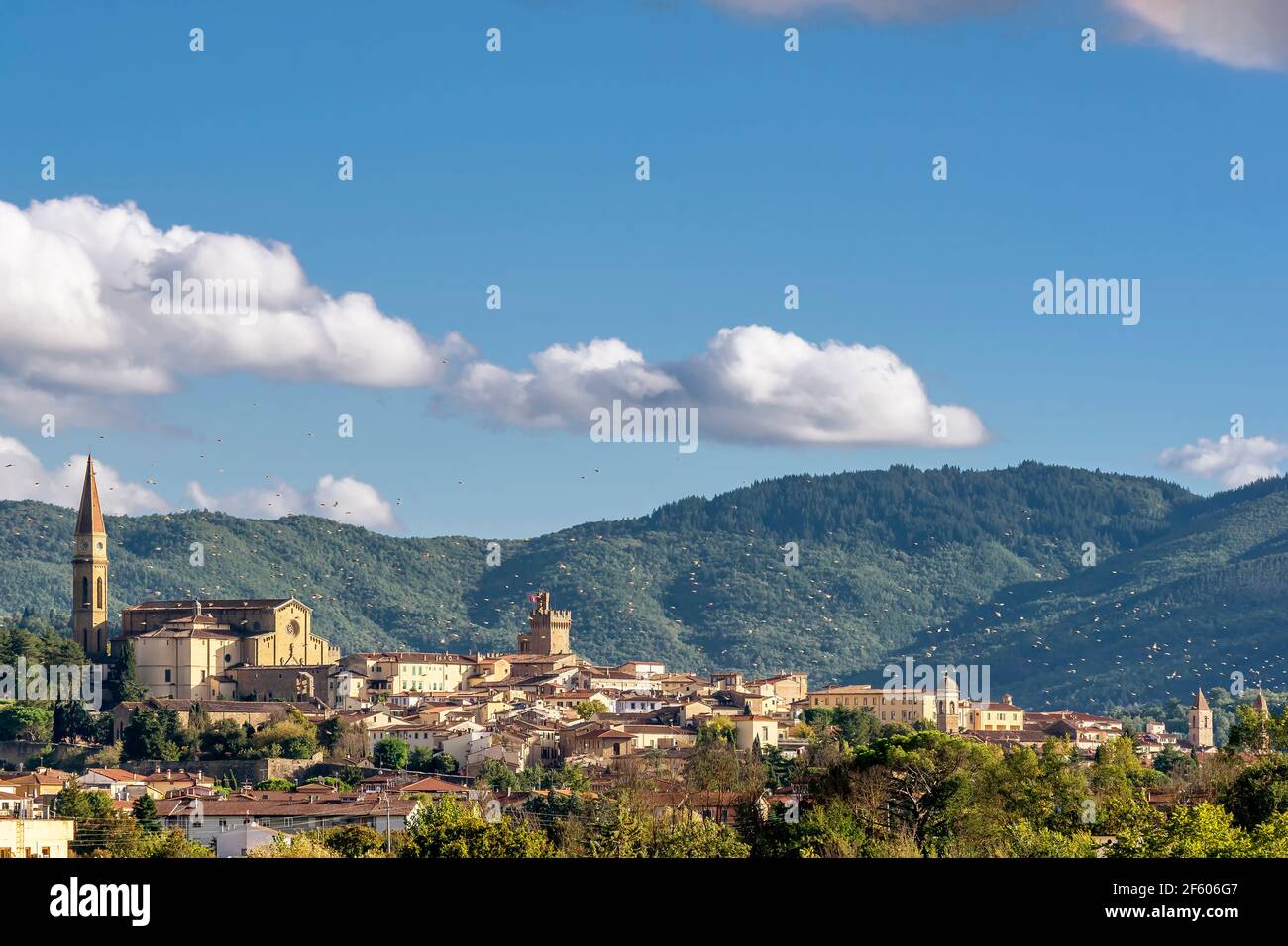 Un gregge di uccelli si trova sul cielo blu sopra il centro storico di Arezzo, Toscana, Italia Foto Stock