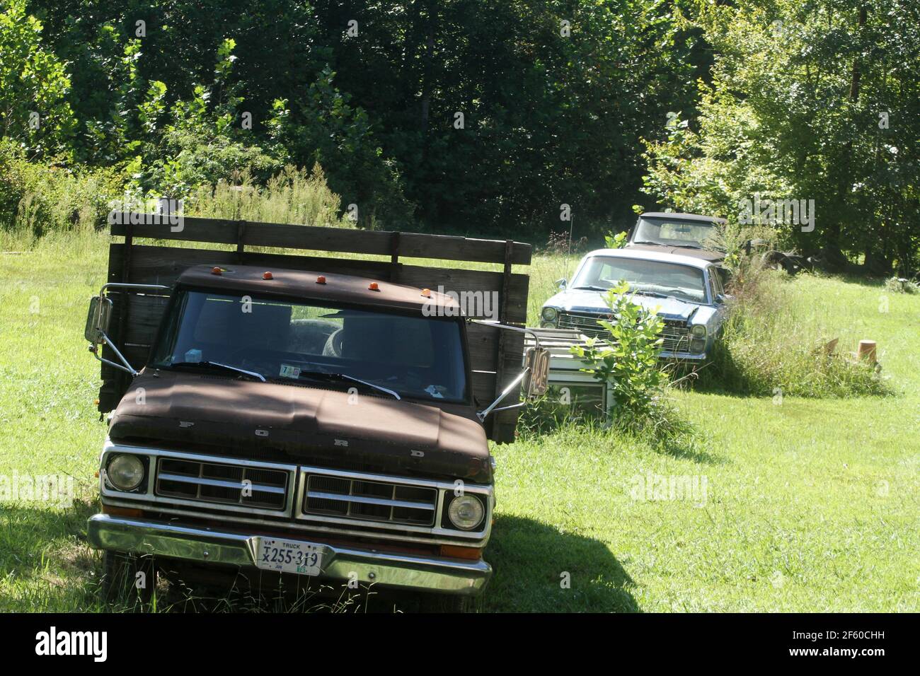 Vecchio camion pick-up in una proprietà privata nella Virginia rurale, Stati Uniti Foto Stock