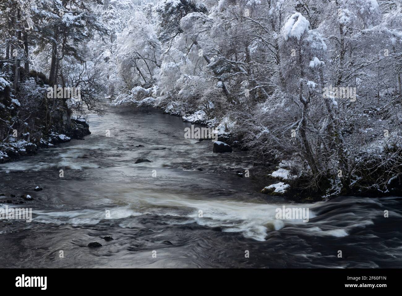 River Affric in inverno. Glen Affric, Highland, Scozia Foto Stock