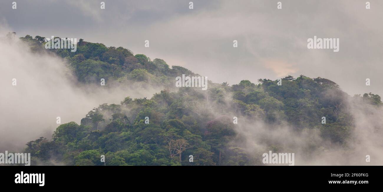 Paesaggio di Panama con vista panoramica della lussureggiante e misteriosa foresta pluviale dopo le precipitazioni nel parco nazionale di Soberania, vicino a Gamboa, Repubblica di Panama. Foto Stock