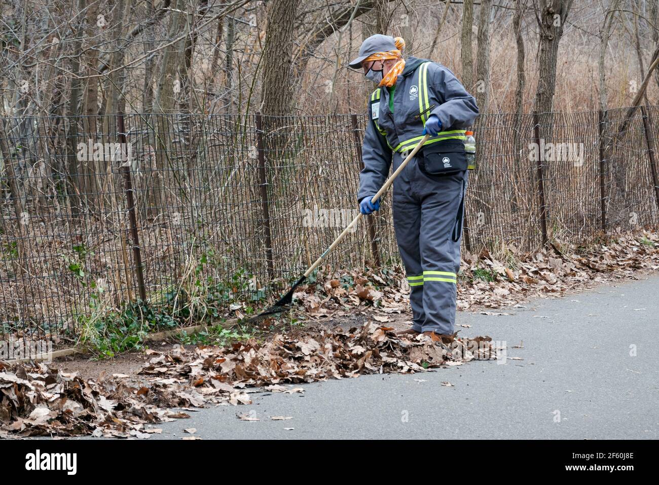 Nel tardo inverno, i dipendenti del Dipartimento di un NYC Park si allontanano in un parco a Queens, New York City. Foto Stock Nel tardo inverno, i dipendenti del Dipartimento di un NYC Park si allontanano in un parco a Queens, New York City. Foto Stock