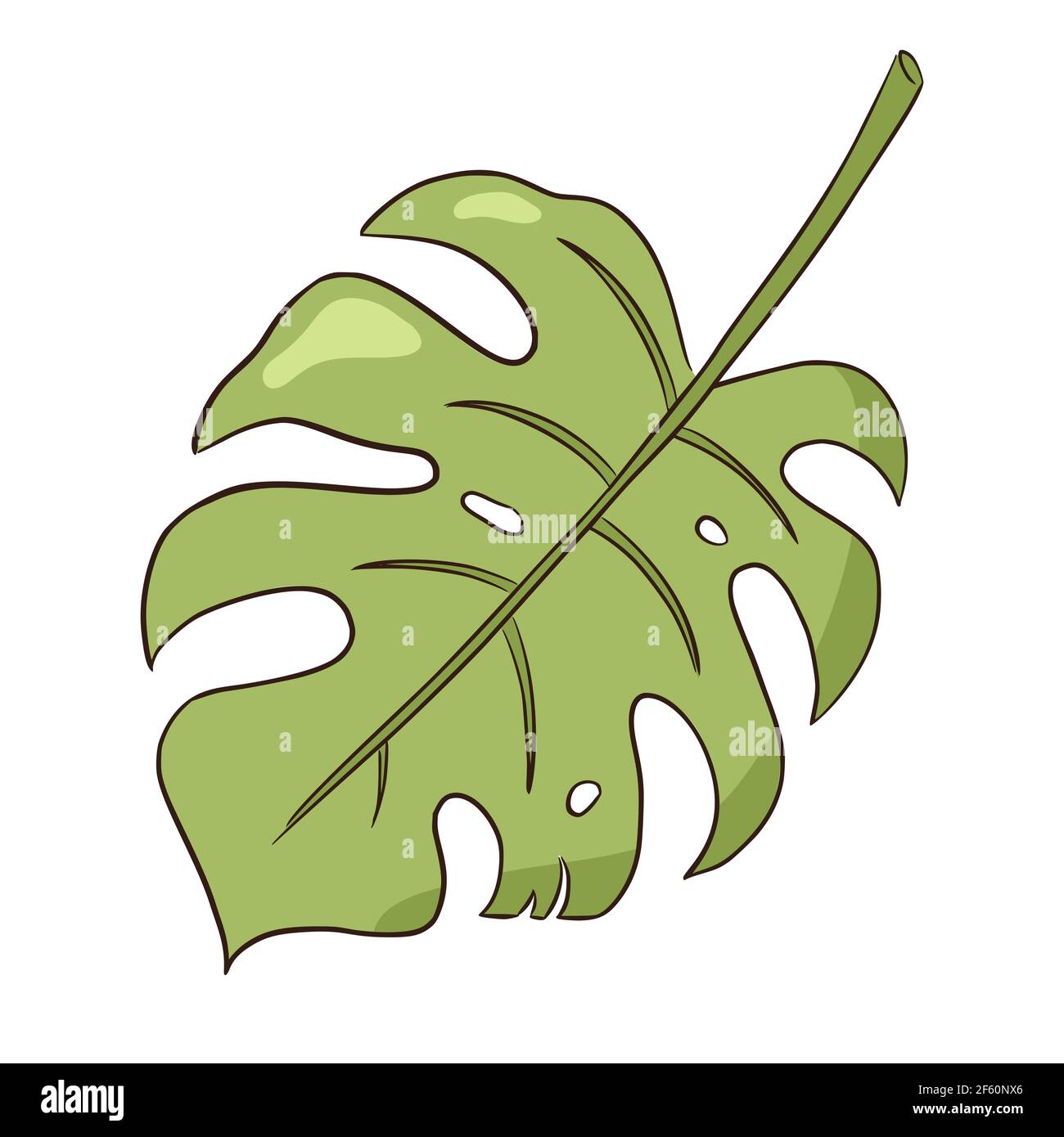 Linea di disegno tropicale organica monstera foglia Illustrazione Vettoriale