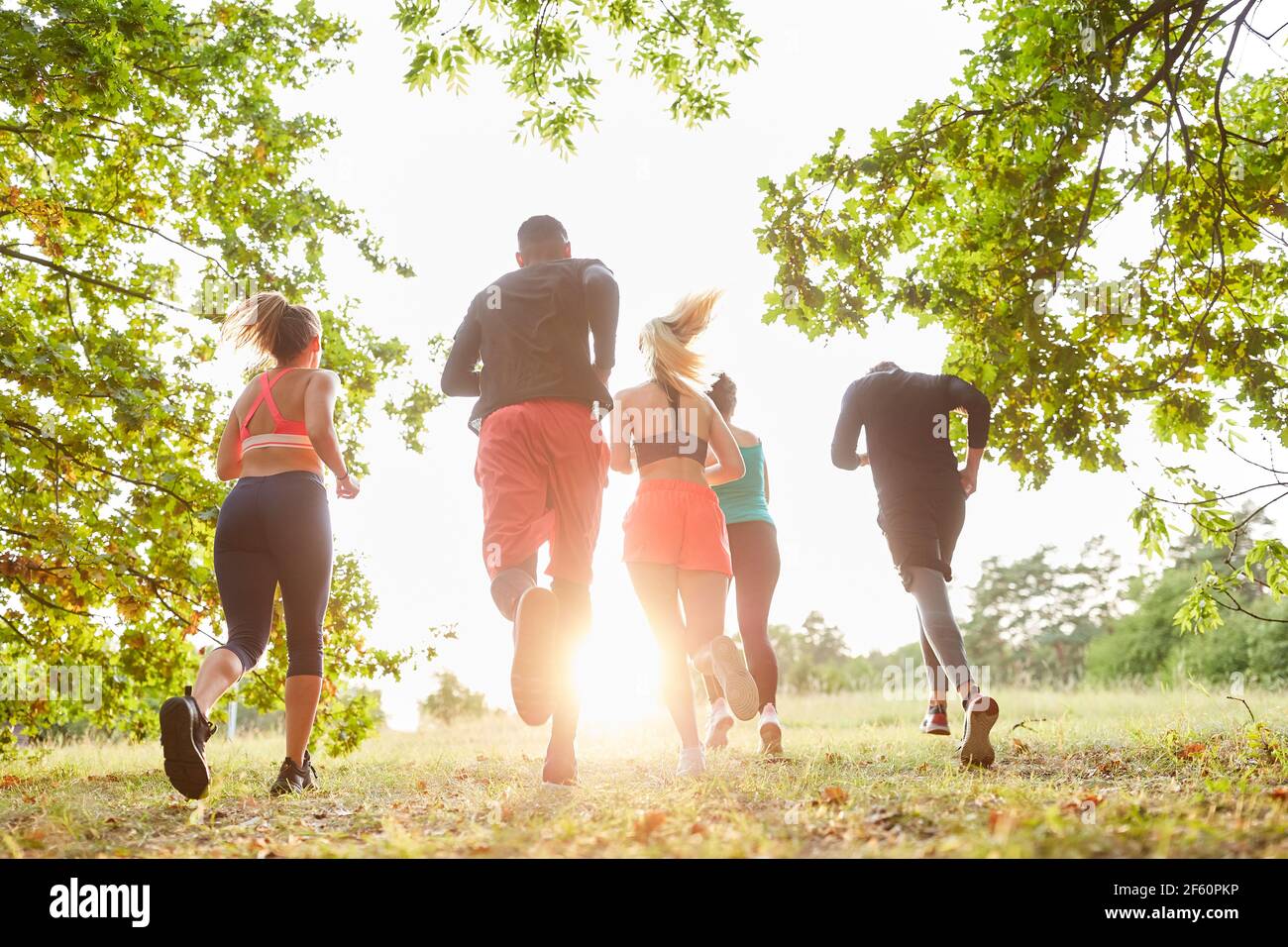 Gruppo di giovani come gruppo di corsa mentre si esercita, jogging in natura in estate Foto Stock