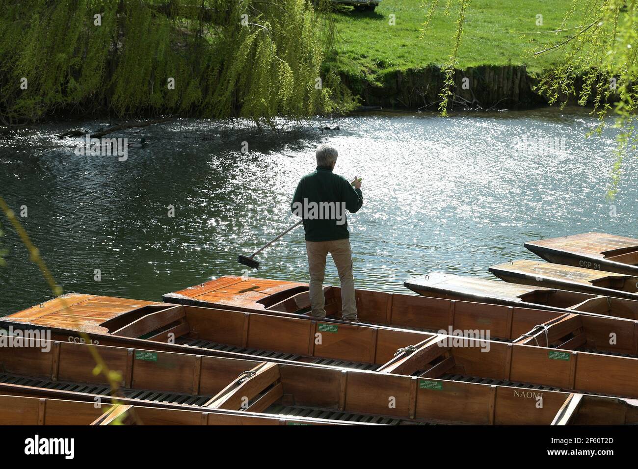 Cambridge, Regno Unito. 29 marzo 2021. Il primo giorno che il soggiorno a casa Lockdown Ordine termina un operatore punt pulisce il suo punt su per preparare per il visitatore che sfrutta al meglio il tempo primaverile godendo di giri punt sul fiume Cam nel centro di Cambridge. Credit: MARTIN DALTON/Alamy Live News Foto Stock