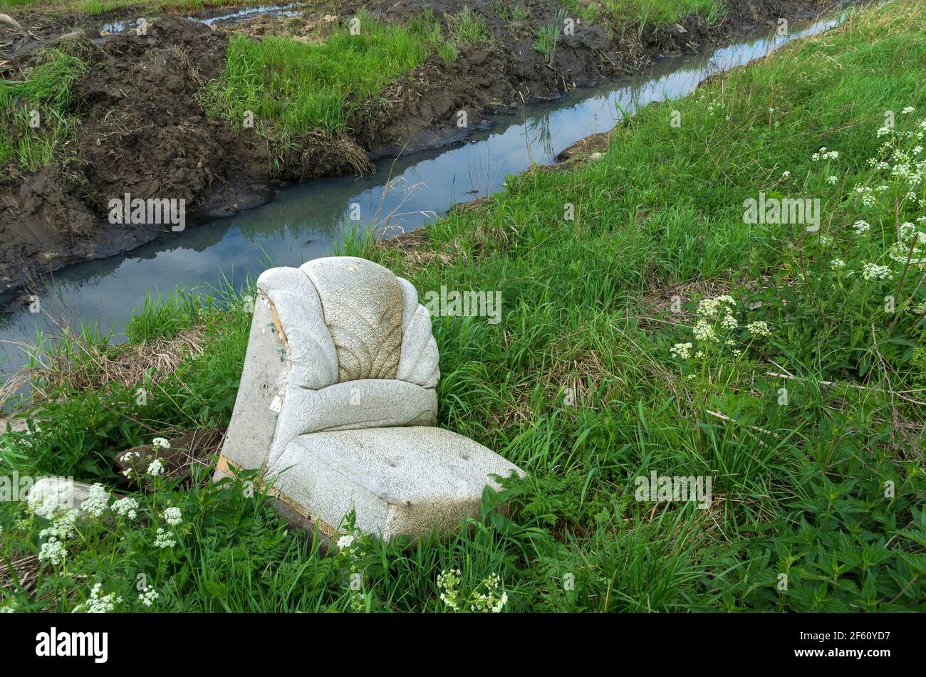 Scartato vecchia poltrona nel mezzo della natura verde su la riva di un ruscello bluastro Foto Stock