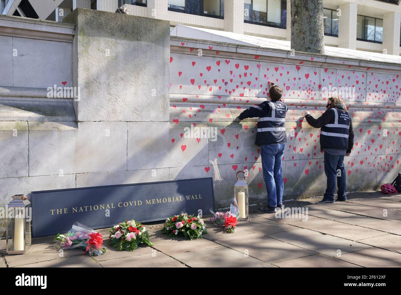 La gente dipinge cuori rossi sul Muro commemorativo COVID-19 di fronte alle Camere del Parlamento a Embankment, nel centro di Londra, in memoria delle oltre 145,000 persone che sono morte nel Regno Unito a causa del coronavirus. Data immagine: Lunedì 29 marzo 2021. Foto Stock