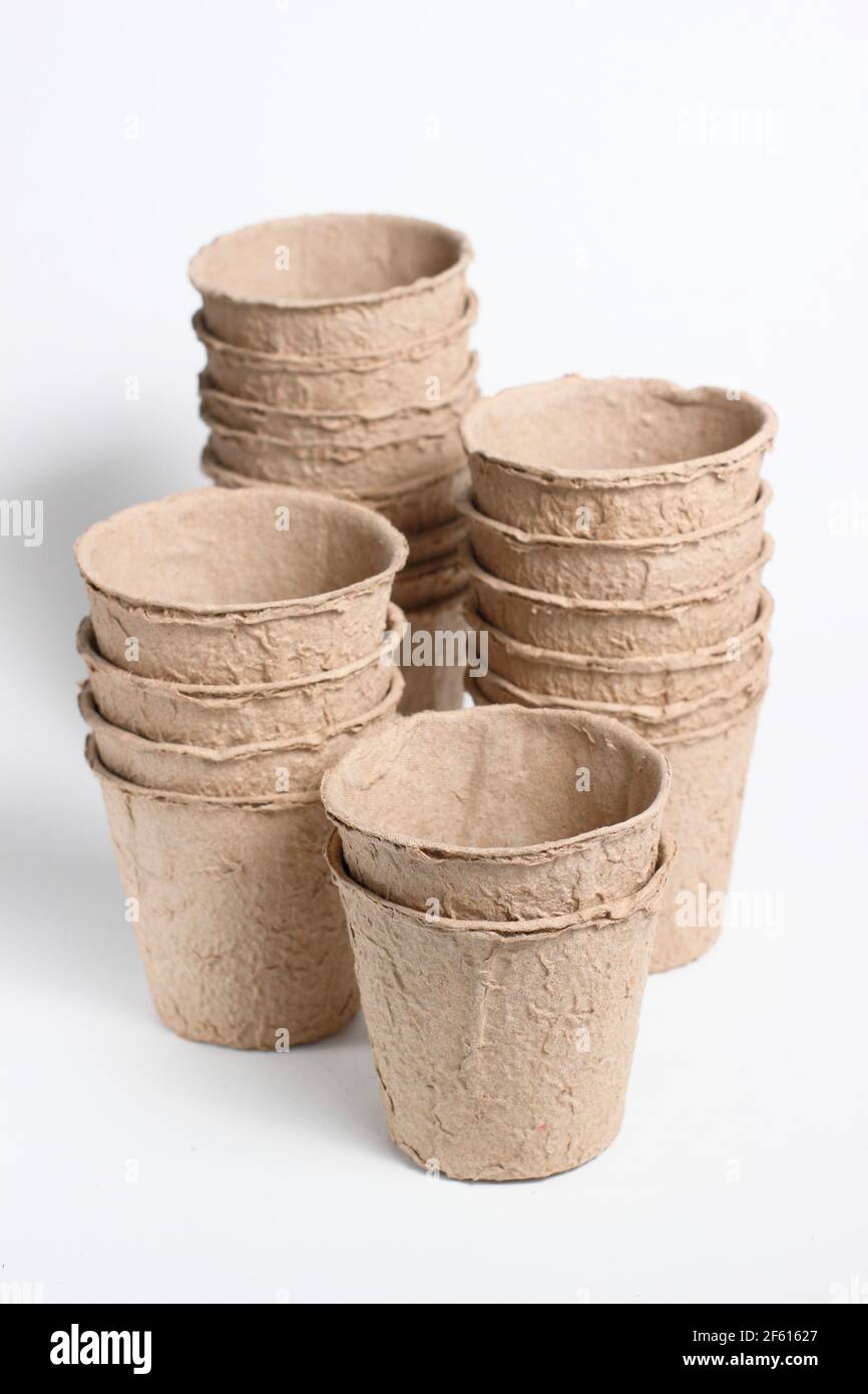 Vasi biodegradabili di piante di fibre isolati su sfondo bianco. REGNO UNITO Foto Stock