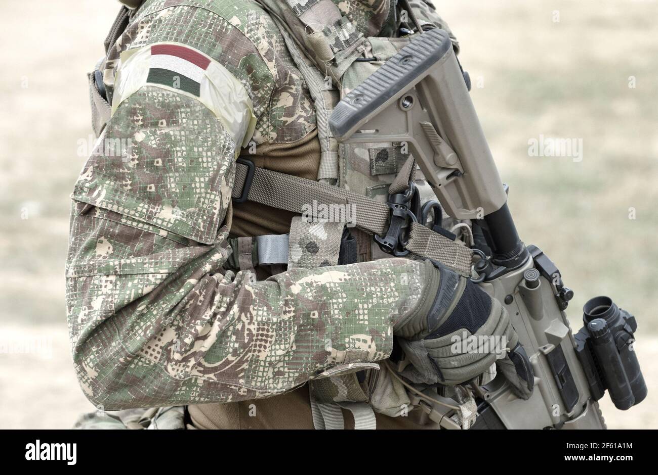 Soldato con fucile d'assalto e bandiera dell'Ungheria su uniforme militare. Collage. Foto Stock