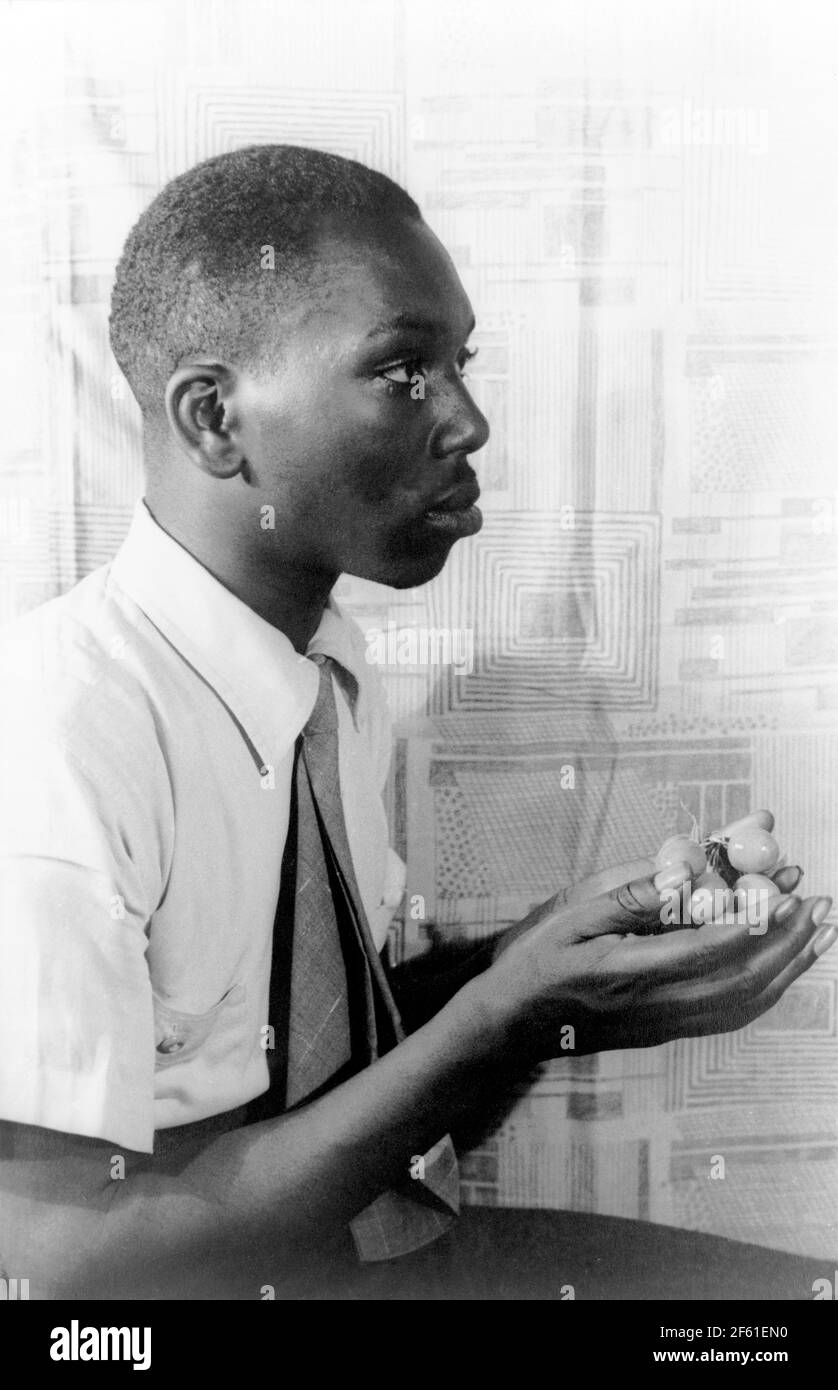 Jacob Lawrence, artista americano Foto Stock