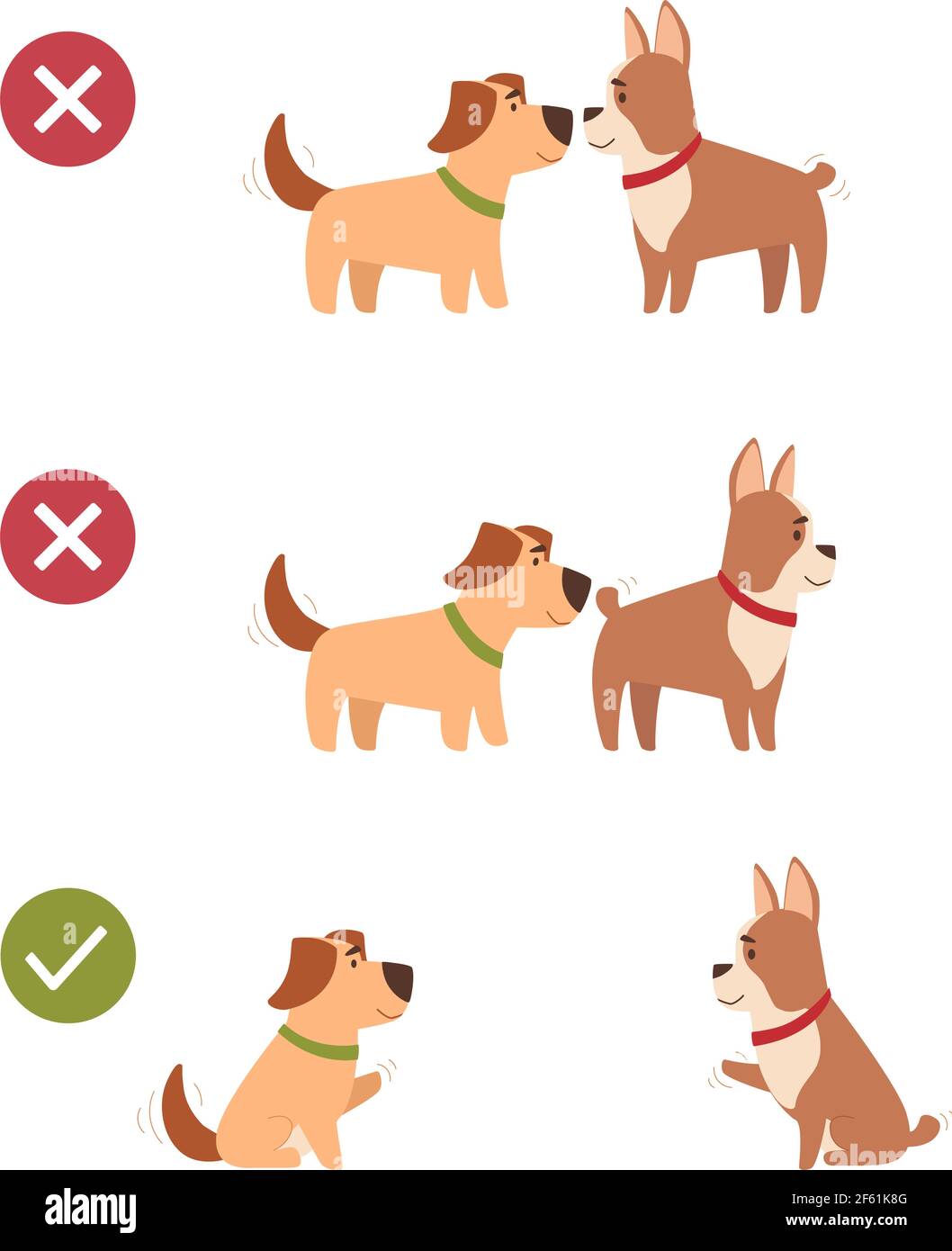 I cani mantengono anche una distanza sociale. Gli animali osservare le precauzioni di sicurezza, non entrare in contatto tra loro durante una passeggiata, salutarsi a distanza. Poster delle distanze, illustrazione vettoriale in stile cartoon. Illustrazione Vettoriale