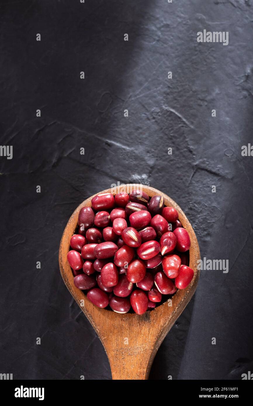Red Bean Adzuki - Vigna angularis Foto Stock