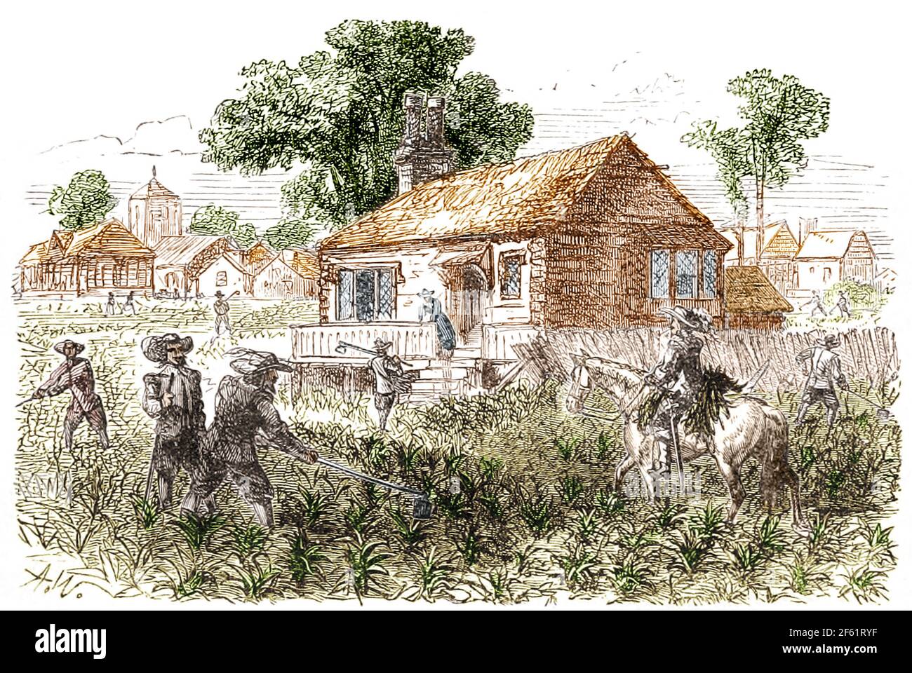 Coltivare tabacco, Jamestown, 1615 Foto Stock