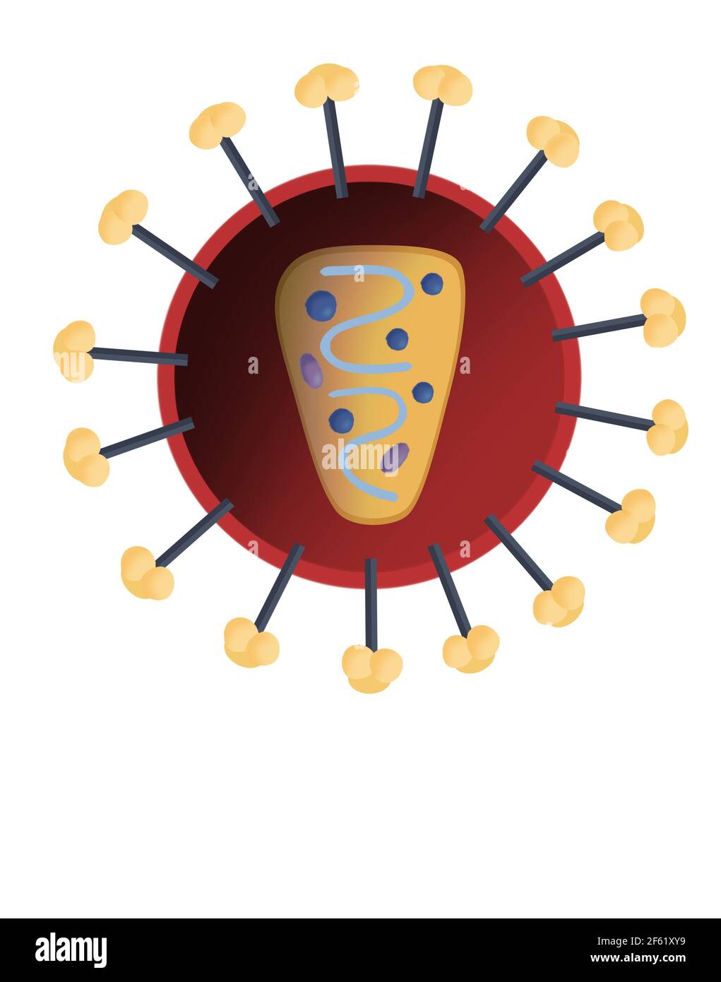 Struttura di HIV Foto Stock