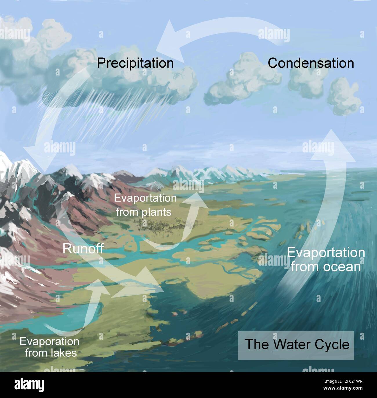 Ciclo dell'acqua della Terra Foto Stock