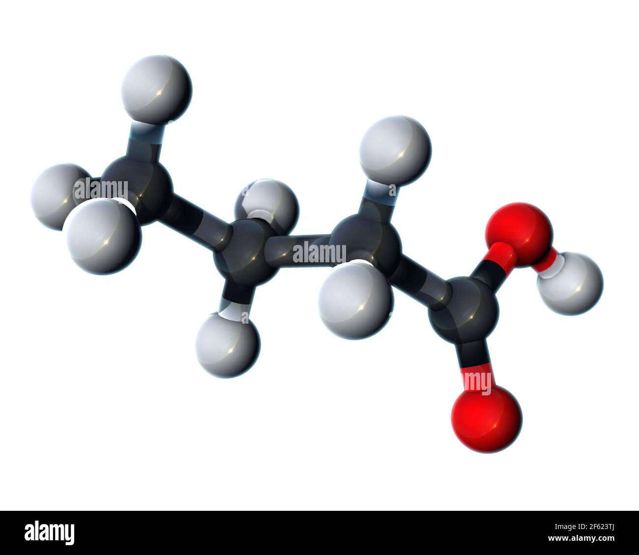Acido butirrico, modello molecolare Foto Stock
