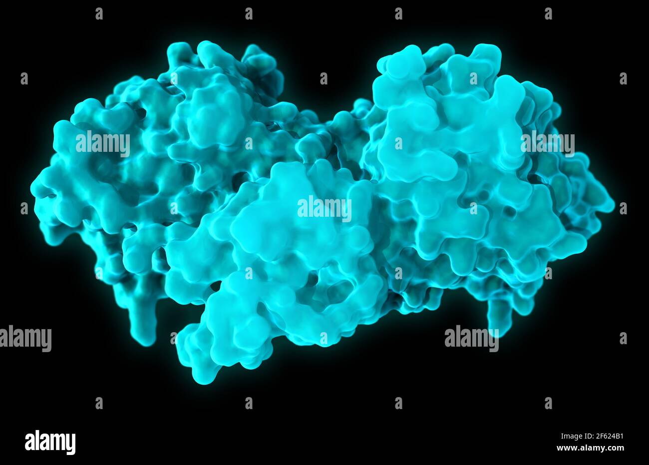 Proteina B-Raf, modello molecolare Foto Stock