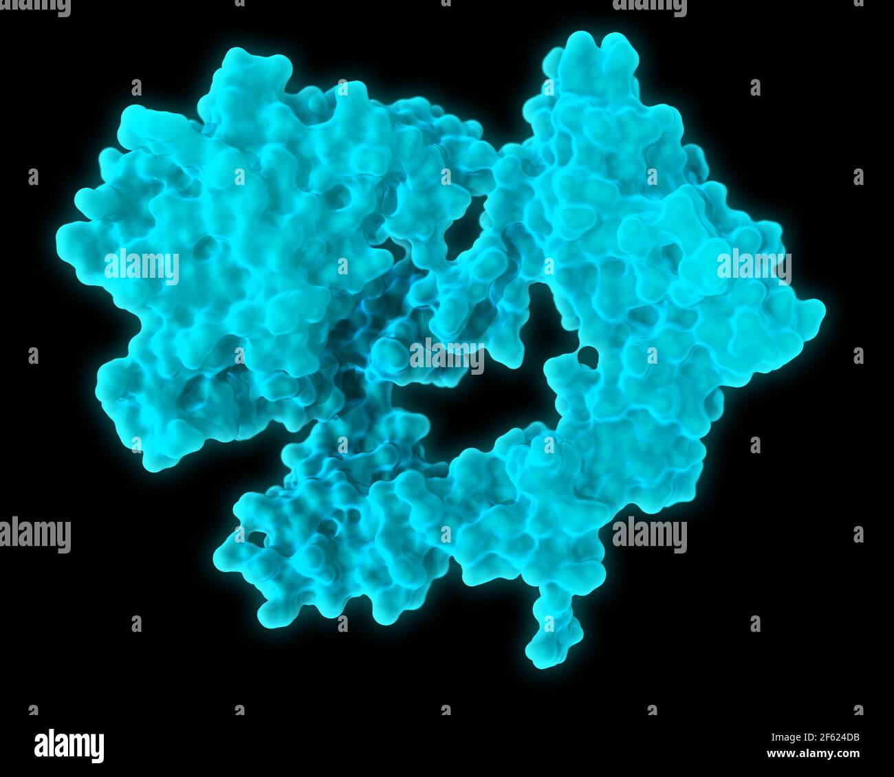 Recettore del fattore di crescita epidermico Foto Stock