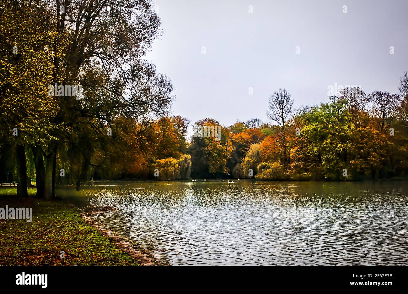 Paesaggio autunnale di alberi in un lago in Germania Foto Stock