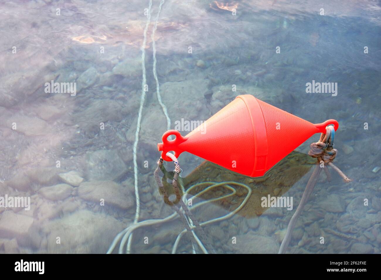 La boa rossa si trova su un'acqua di mare. Foto Stock
