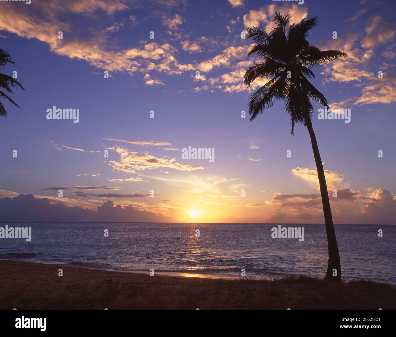 Tramonto tropicale, Spiaggia di legno scuro, Saint Mary's Parish, Antigua Antigua e Barbuda, Piccole Antille, dei Caraibi Foto Stock