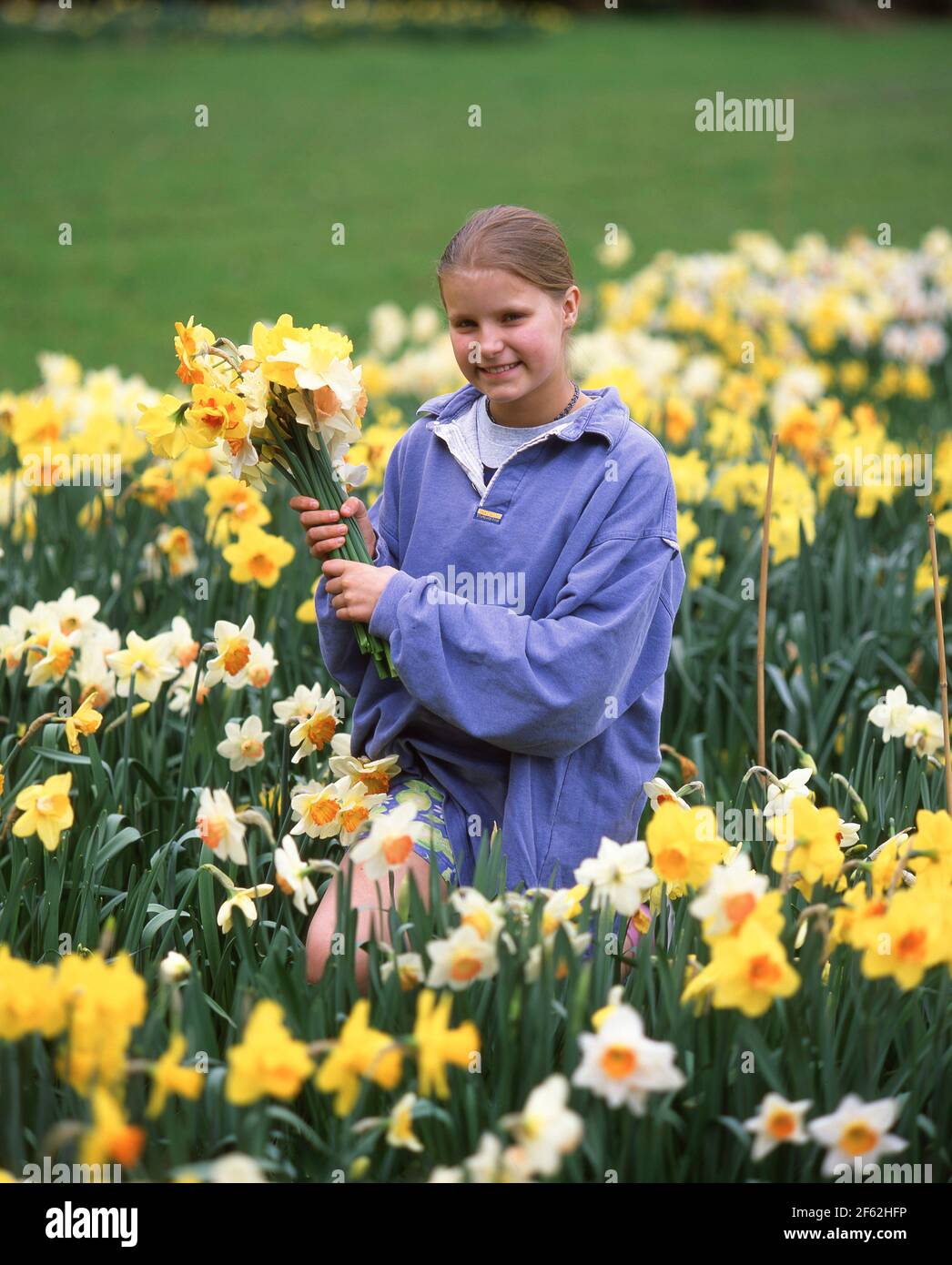 Giovane ragazza nel campo di narcisi, Sunningdale, Berkshire, Inghilterra, Regno Unito Foto Stock