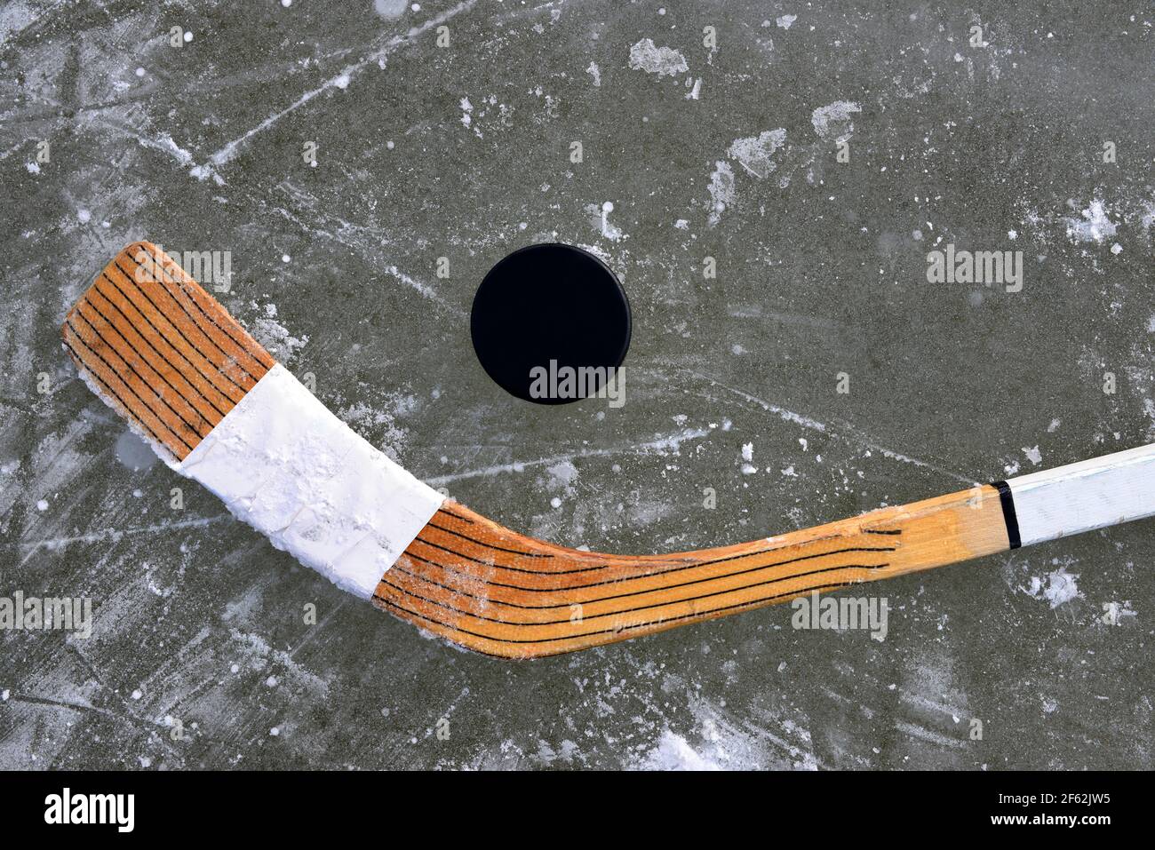 Anatra nera e bastone da hockey su una pista di pattinaggio. Foto Stock