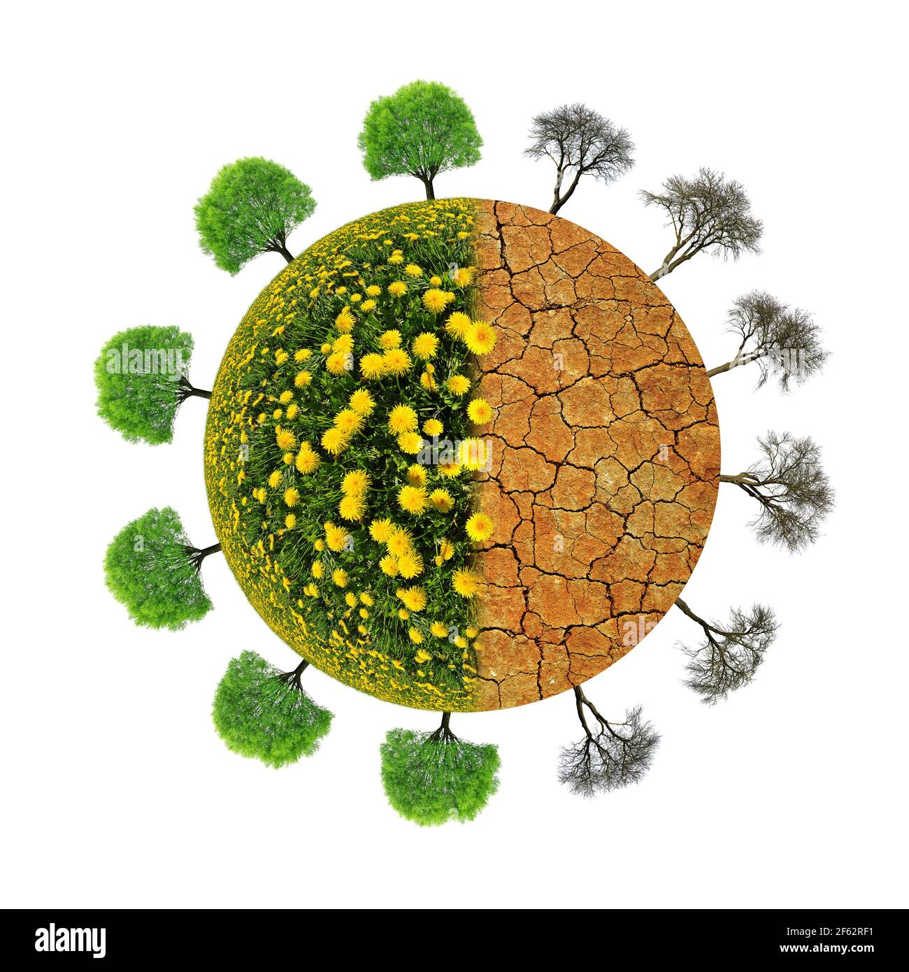 Pianeta lussureggiante e asciutto con alberi isolati su uno sfondo bianco. Concetto di cambiamento climatico o riscaldamento globale. Foto Stock