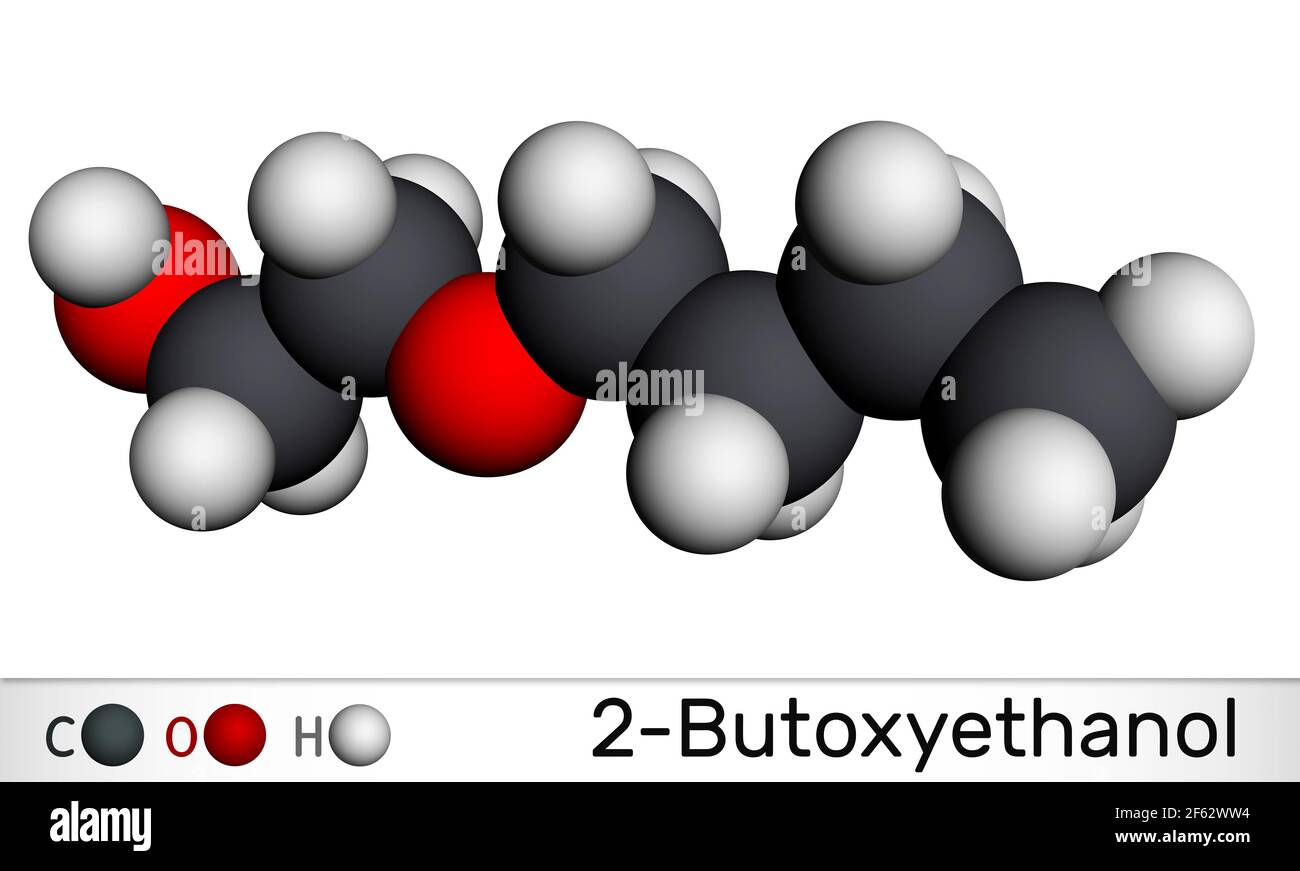 2-butossietanolo, molecola di butossietanolo. È alcool primario ed etere. Utilizzato come solvente e per la verniciatura e la verniciatura. Modello molecolare. Rendering 3D Foto Stock