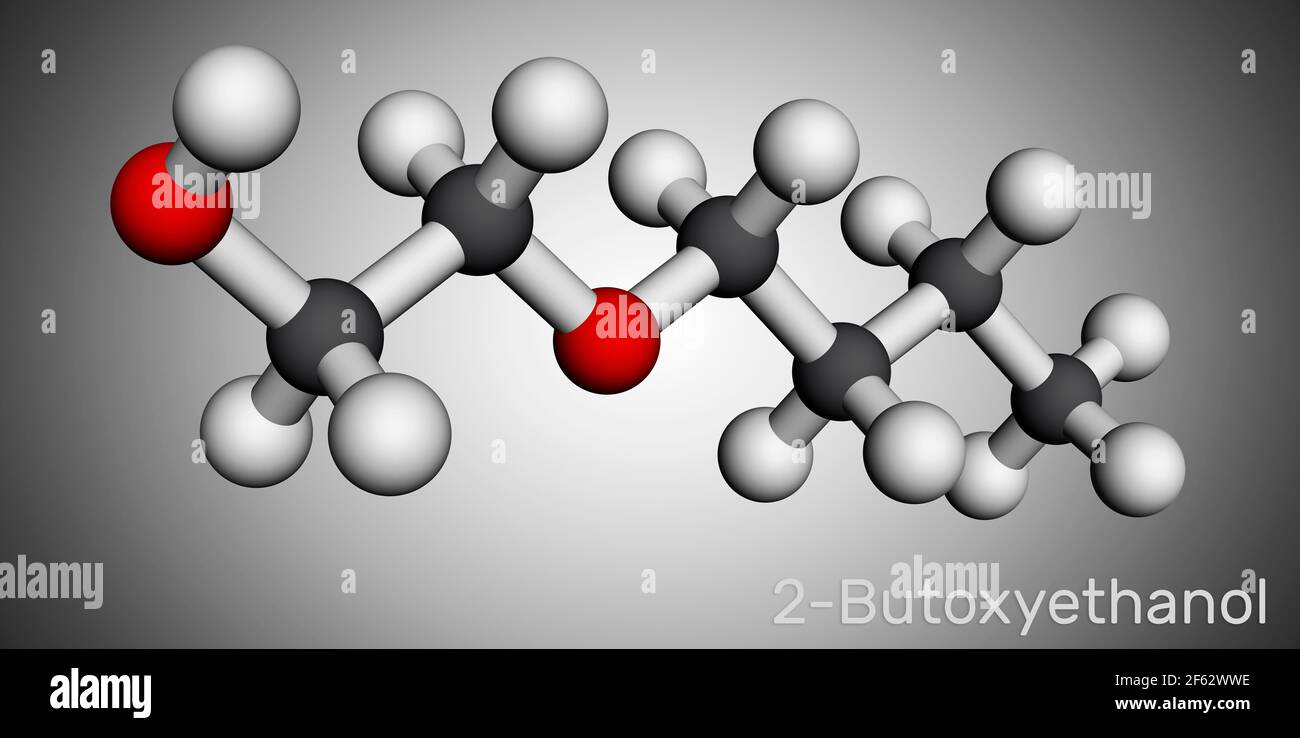 2-butossietanolo, molecola di butossietanolo. È alcool primario ed etere. Utilizzato come solvente e per la verniciatura e la verniciatura. Modello molecolare. Rendering 3D Foto Stock