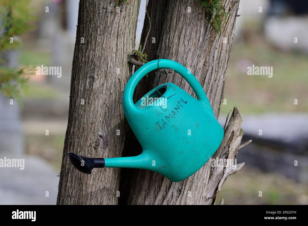 Vienna, Austria. Il cimitero centrale di Vienna. Una lattina di plastica per innaffiare i fiori sulle tombe Foto Stock